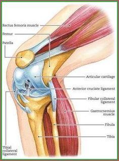 Punkty Spustowe, Bolesti Chrbta, Strengthening Exercises, Knee Injury