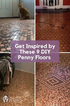 the floor in this house is made out of penny tiles and has a cat sitting on it