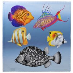 four different colored tropical fish on a blue background