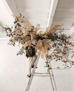 a man is climbing up a ladder to plant some plants on the wall in front of him