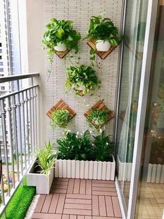 an apartment balcony with potted plants on the wall and small green grass in the floor