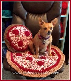 a small dog sitting on top of a chair next to a heart shaped rug and pillow