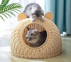 two cats sitting on top of a wicker cat bed