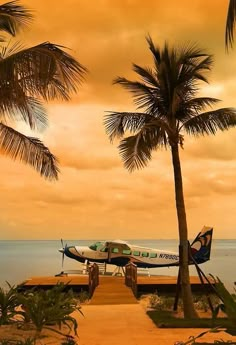 a small plane parked on top of a wooden pier next to the ocean with palm trees