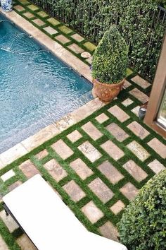 an outdoor pool with artificial grass around it and a potted plant next to the pool