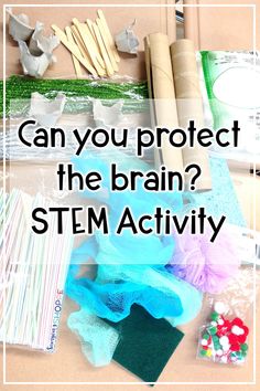 Nervous system | Brain | Your kids will learn the importance of the skull in protecting the brain through this engaging stem activity. Grade 4, 5, 6 students will build on their inquiry thinking skills to devise a fun human body activity. This lesson plans will excite your students. NGSS aligned #ngss #grade4science #humanbody Nervous System Stem Activities, Grade 5 Human Body Systems, Nervous System Activities For Kids, Human Body Stem Activities For Kids, Nervous System Projects, Anatomy Classroom, Human Body Science Projects, Body Systems Project, Biology Experiments