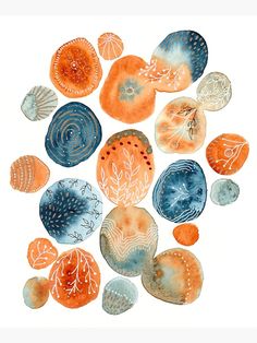 an image of sea shells painted in watercolor