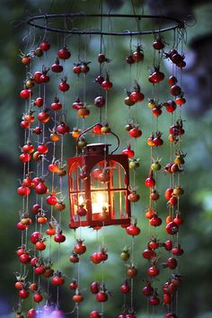 a lantern hanging from a tree filled with berries