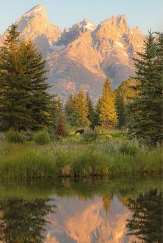 the mountain range is reflected in the still water of this lake, with trees and grass around it