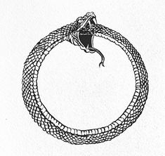 a drawing of a snake wrapped around a circle