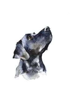 a watercolor painting of a dog's head