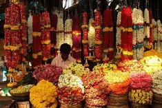 a man standing in front of a display of flowers