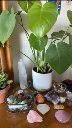 Plant Crystal Room Aesthetic, Plants With Crystals, Plant Girl Aesthetic, Crystal Room Decor, Crystal Room, Pretty Rocks, Plant Aesthetic