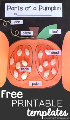 the parts of a pumpkin made out of paper with free printable templates on it