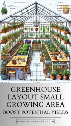 the greenhouse layout is shown with plants growing in it