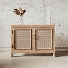 a wooden cabinet with wicker doors and a plant on top