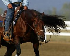 a man riding on the back of a brown horse