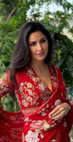 Katrina Kaif Red Saree, Bollywood Style Saree, Fun Facts About Cats, Facts About Cats, Blouse Designs High Neck, Saree Wearing Styles, Simple Saree Designs, Traditional Blouse Designs