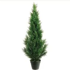 4 Foot Artificial PVC Cedar Tree for Indoor and Outdoor Silk Plants Canada Privacy Hedge, Cedar Tree, Boston Fern, Fake Trees, Entrance Ways, Cedar Trees, Silk Plants, Artificial Trees, A Well