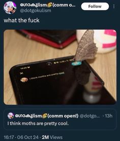 an image of someone's twitter post about what the fock is doing on their phone