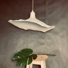 a wooden stool next to a green plant in a room with grey walls and a hanging light fixture