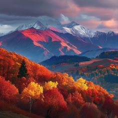 Carpathian Mountains Captivating Scenic Composition Scenic Backgrounds, Steampunk City, Nature Enthusiast, Landscape Images, Carpathian Mountains, Mountain Lakes, Eco Beauty, What A Beautiful World, Barn Painting