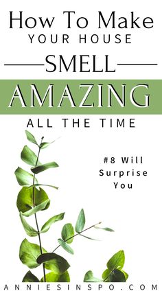 the cover of how to make your house smell amazing all the time