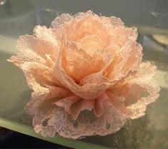 a pink flower sitting on top of a glass table