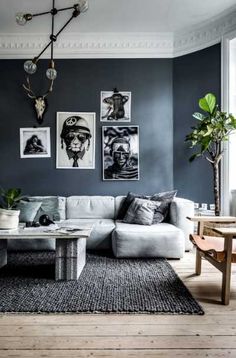 a living room with blue walls and pictures on the wall above the couches,