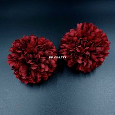 two large red flowers sitting on top of a blue surface with the words big crafts above them