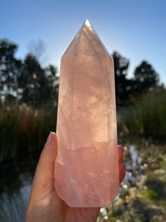 a person holding up a pink quartz point in front of some water and trees on a sunny day