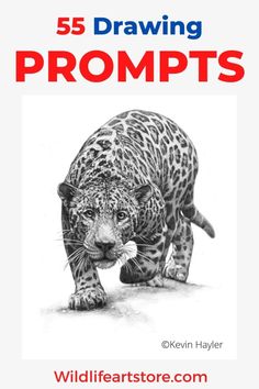 55 Drawing Prompts. Drawing of a Jaguar Drawing Wildlife, Beginner Drawing Lessons Step By Step, Animals Drawing, Step By Step Drawing For Beginners, Practice Drawing Exercises