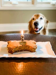 a dog looking at a piece of cake on a plate with a candle in it