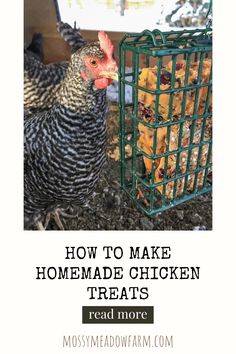 a chicken standing next to a cage filled with food and the words how to make homemade chicken treats read more