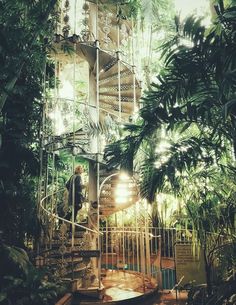 a spiral staircase is surrounded by trees and plants