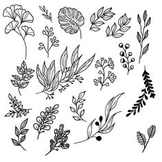 various flowers and leaves drawn in black ink