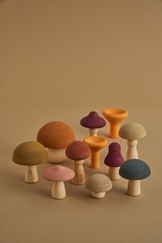 several different types of mushrooms on a brown background