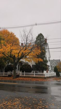 a white house surrounded by trees with yellow leaves on the ground in front of it