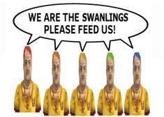 several people with different colored wigs and one has a speech bubble above them that says, we are the swanlings please feed us