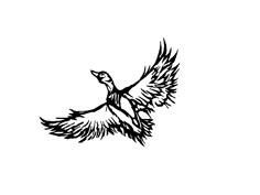 a black and white drawing of a bird with its wings spread out in the air