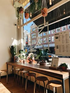 a long table with some plants on it