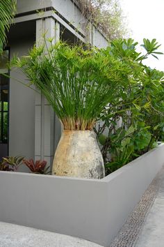 an outdoor planter with plants in it