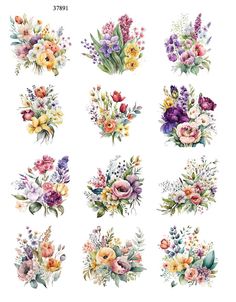 watercolor flowers and leaves are arranged in different colors