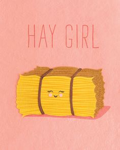 a piece of paper that says hay girl with a cartoon character on it's side