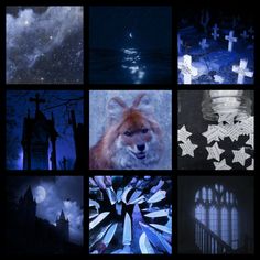 a collage of images with different themes and animals in them, including the wolf