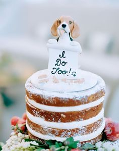 a dog is sitting on top of a cake