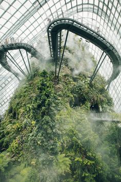 the cloud forest at gardens by the bay in singapore