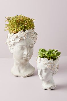 two white ceramic head vases with plants growing out of the heads, one holding a succulent plant