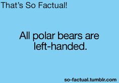 a blue background with the words that's so actual all polar bears are left - handed