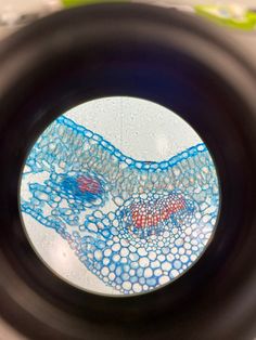 an animal cell is seen through a magnifier lens on a table top